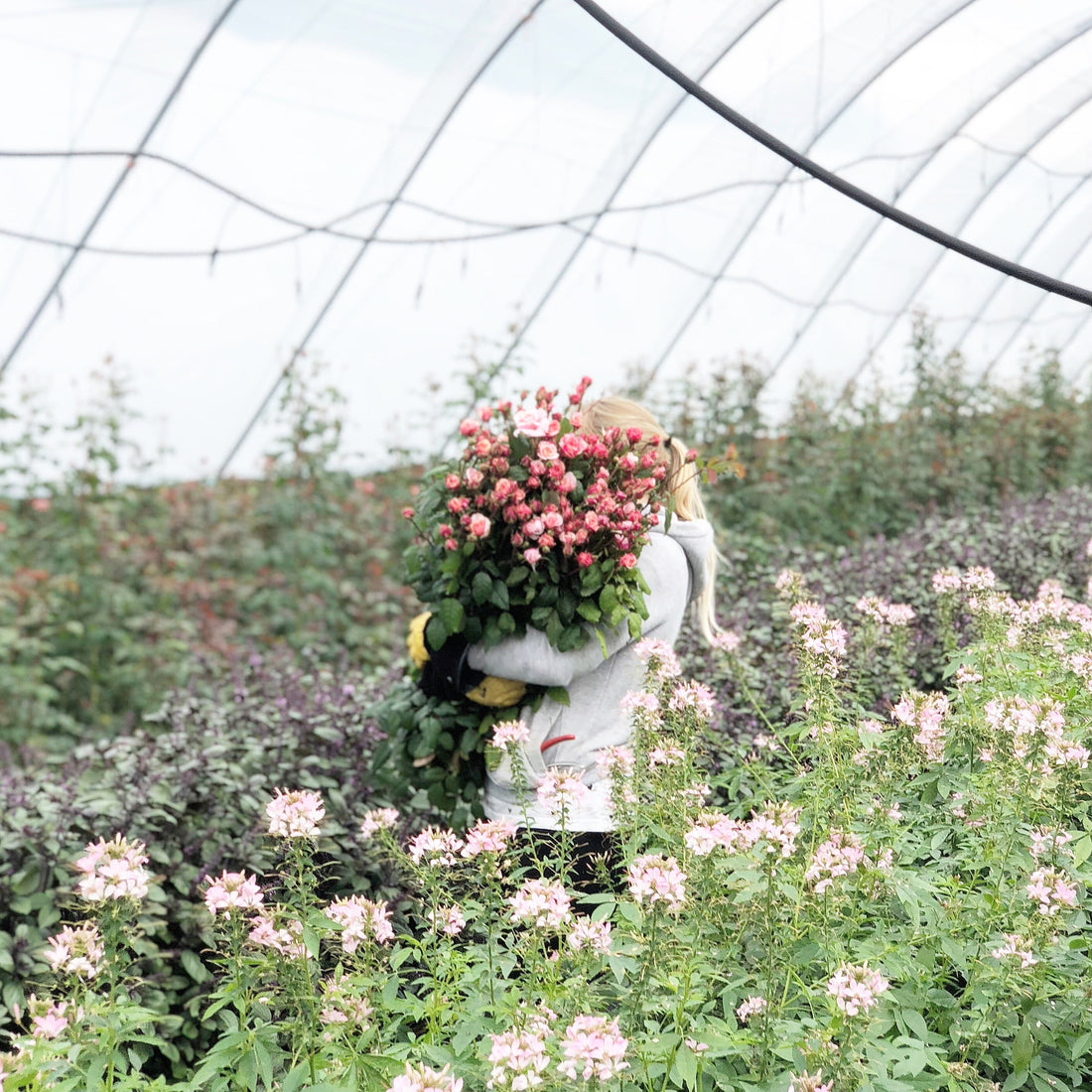 The Reality of Working with British Flowers